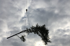 AA-Seite-2-Oben-Nebendran-4-scaled