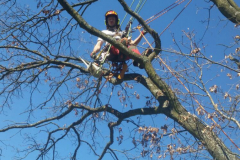 AA-Seite-2-Oben-nebendran-2