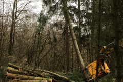 CA01FBC5-6058-47D4-8518-251BD6111A88